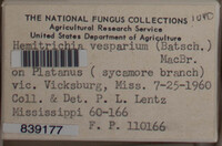 Image Associated With the Occurence